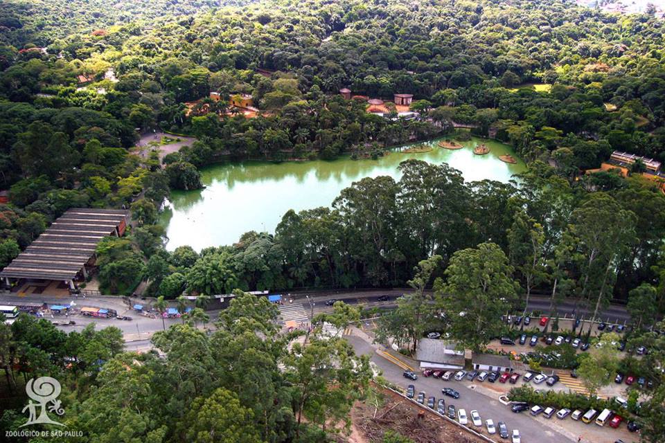 zoológico sp.jpg (148 KB)